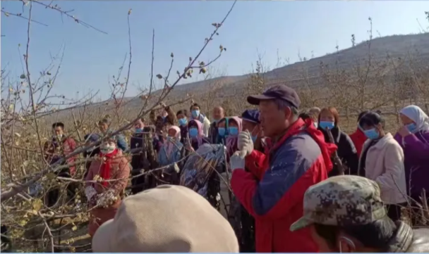 时博官方网站_时博(中国)一站式服务官网在静宁帮扶村开展冬季果园管理培训(图2) 时博官方网站_时博(中国)一站式服务官网在静宁帮扶村开展冬季果园管理培训(图2)