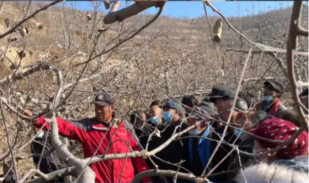 时博官方网站_时博(中国)一站式服务官网在静宁帮扶村开展冬季果园管理培训(图5) 时博官方网站_时博(中国)一站式服务官网在静宁帮扶村开展冬季果园管理培训(图5)