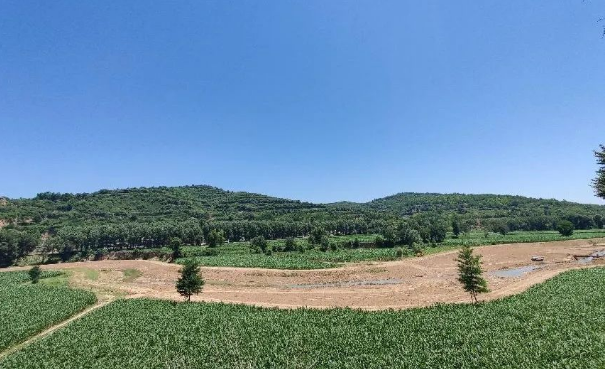 时博官方网站_时博（中国）一站式服务官网上半年项目建设进展顺利(图12)