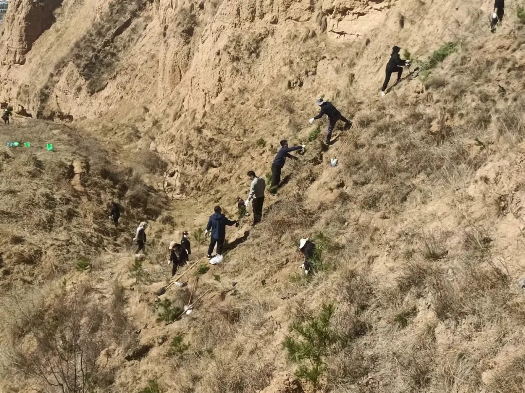 时博官方网站_时博（中国）一站式服务官网开展义务植树活动(图2)